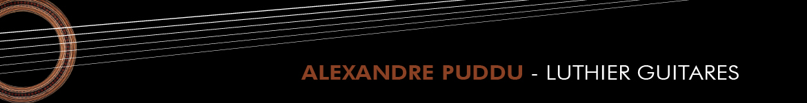 Alexandre Puddu Luthier guitares